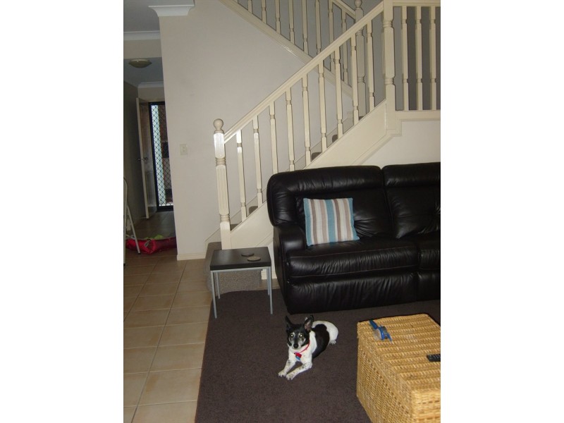 Grant Street, Redcliffe QLD 4020