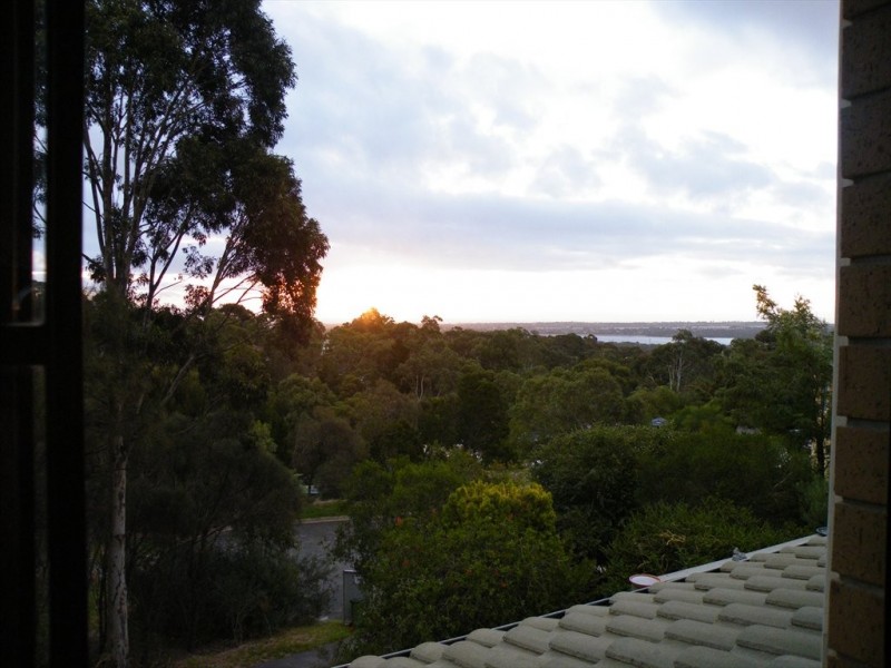 Nayook Grove, Aberfoyle Park SA 5159