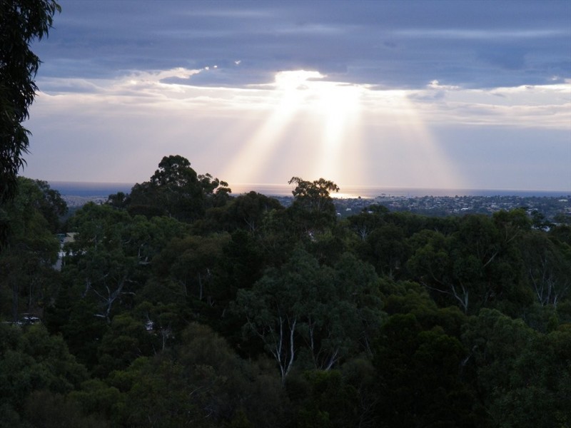 Nayook Grove, Aberfoyle Park SA 5159