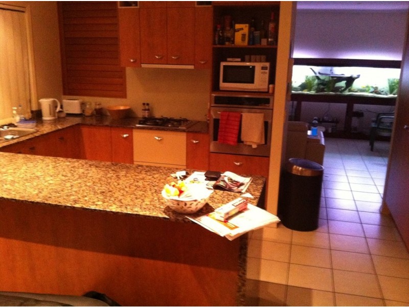 Palm Meadows drive, Carrara QLD 4211