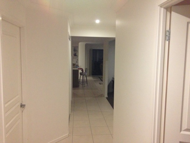 Egret Street, Aberglasslyn NSW 2320
