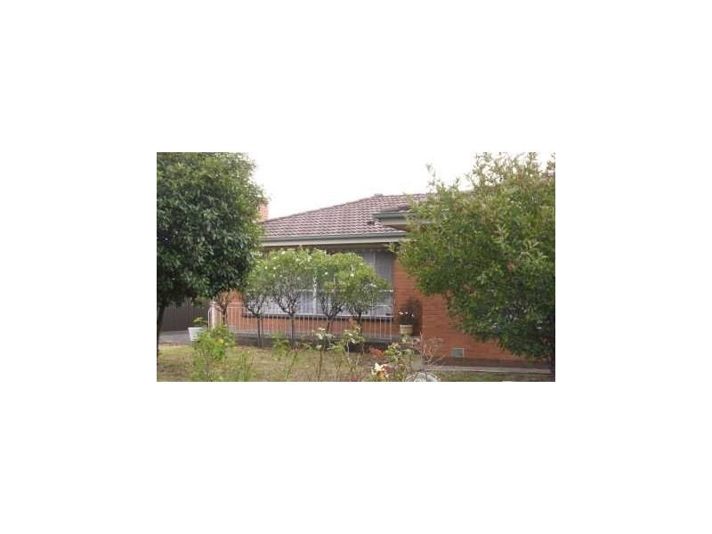 Hamlyn Avenue, Hamlyn Heights VIC 3215