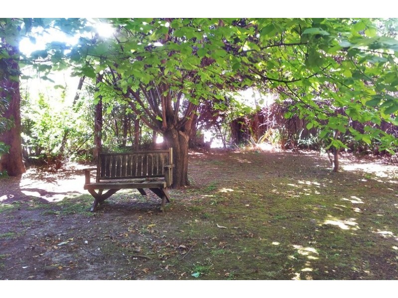 Dandenong Road, Oakleigh VIC 3166