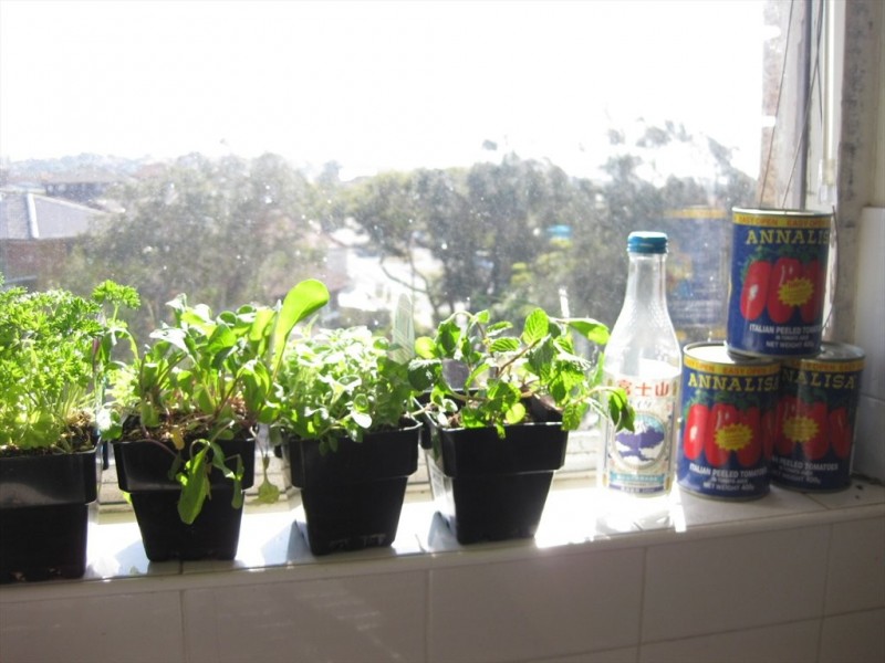 Blair St, North Bondi NSW 2026