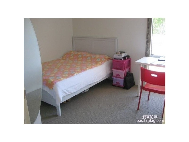 The Avenue, Hurstville NSW 2220