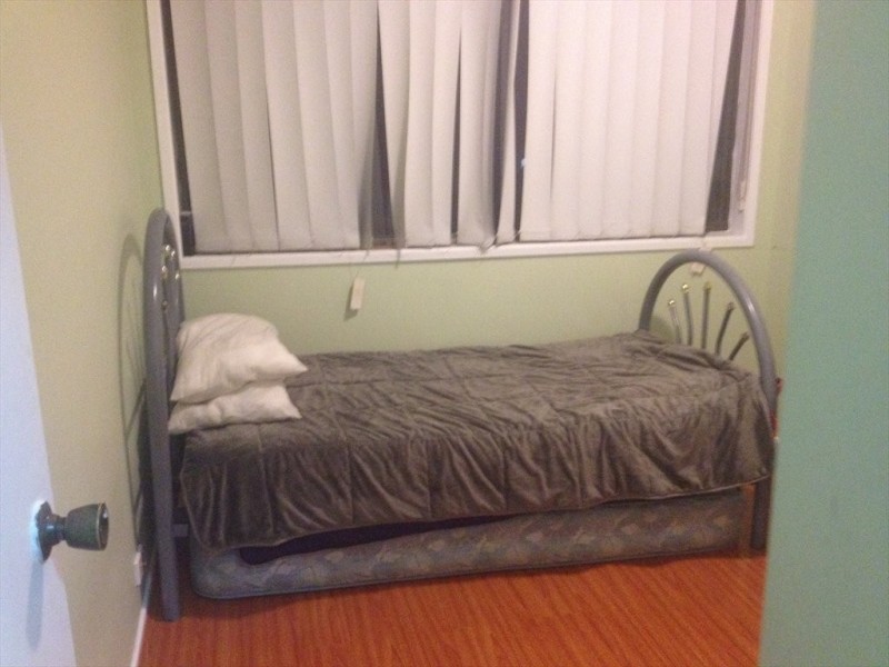 earl street, Canley Heights NSW 2166