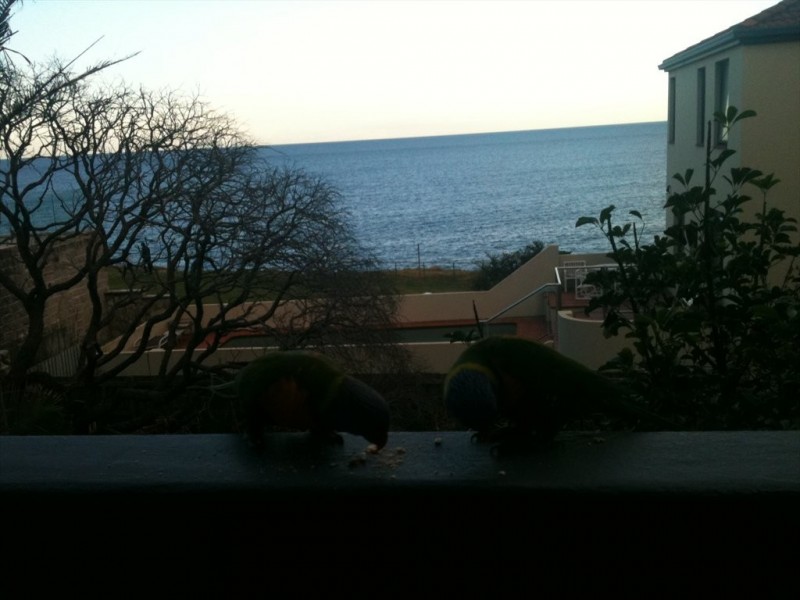 Eastern avenue, Dover Heights NSW 2030