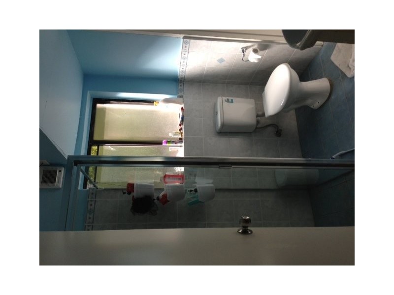 peach tree road, Macquarie Park NSW 2113