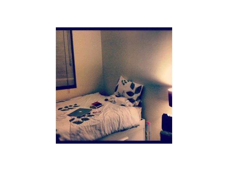 Norton Street, Leichhardt NSW 2040