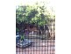 hamilton, Hamilton NSW 2303