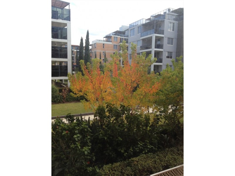 bonar st, Wolli Creek NSW 2205