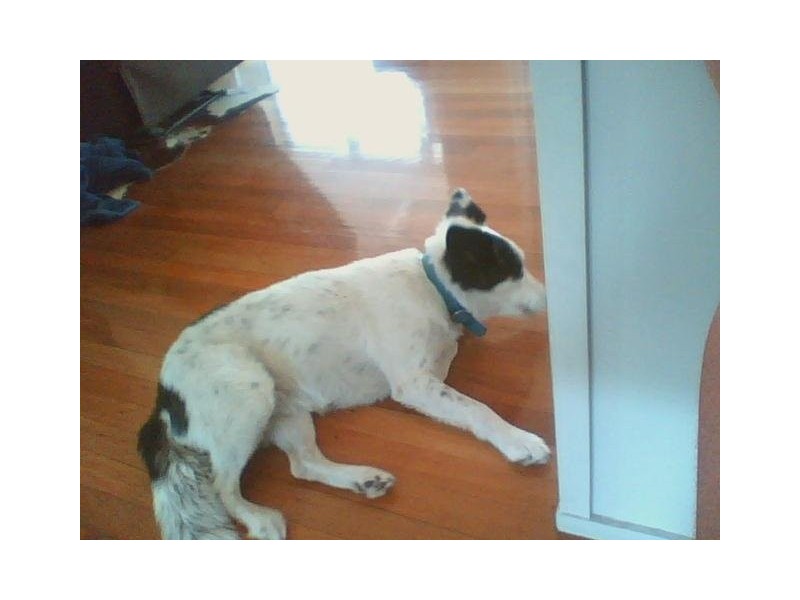 edison street, Wulguru QLD 4811