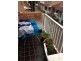 view, North Wollongong NSW 2500