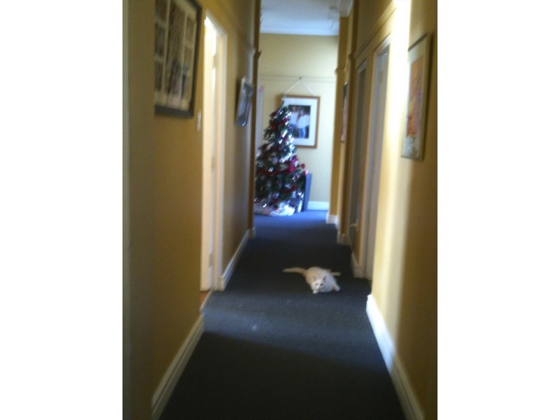 cronulla street, Cronulla NSW 2230