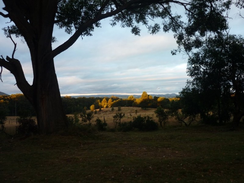 Scarffs Road North, Mount Helen VIC 3350
