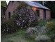 Yuille St, Buninyong VIC 3357