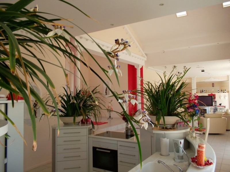 piccolo, Coomera QLD 4209