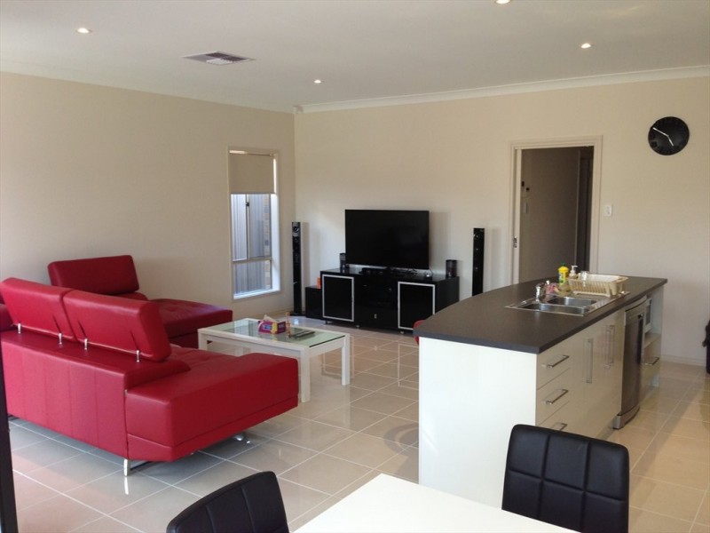 Norrie Avenue, Clovelly Park SA 5042
