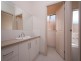 Norrie Avenue, Clovelly Park SA 5042