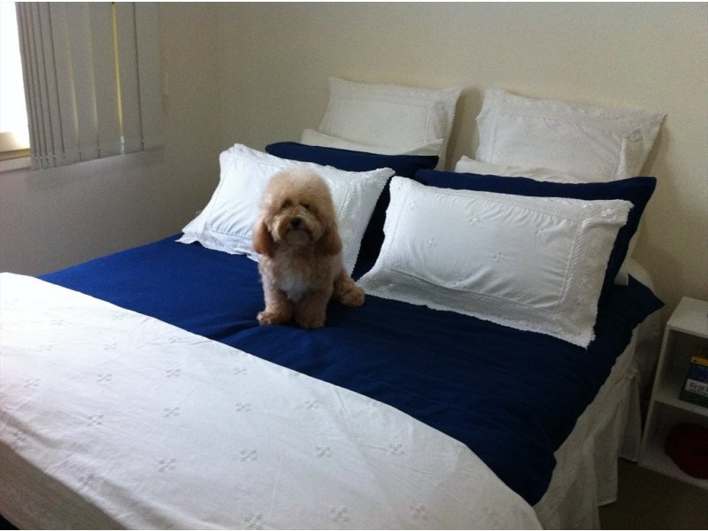 Firetail Court, Tweed Heads South NSW 2486