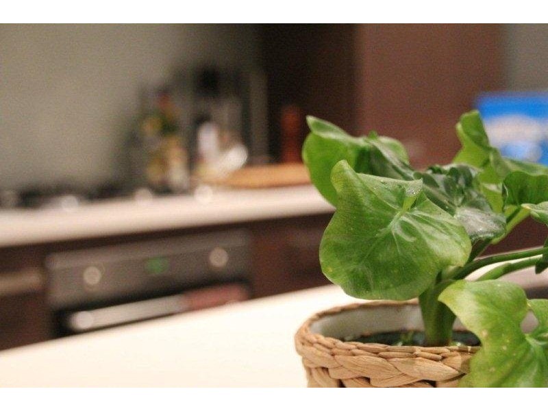 Runge Place, Norwood SA 5067