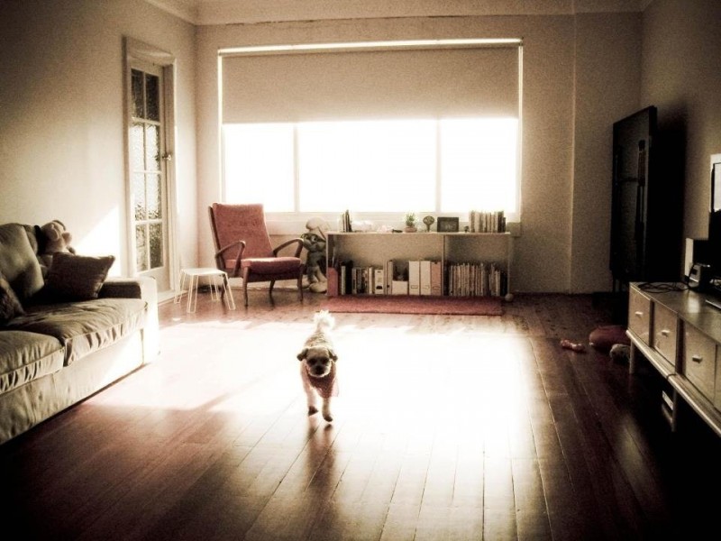 Concord, North Strathfield NSW 2137