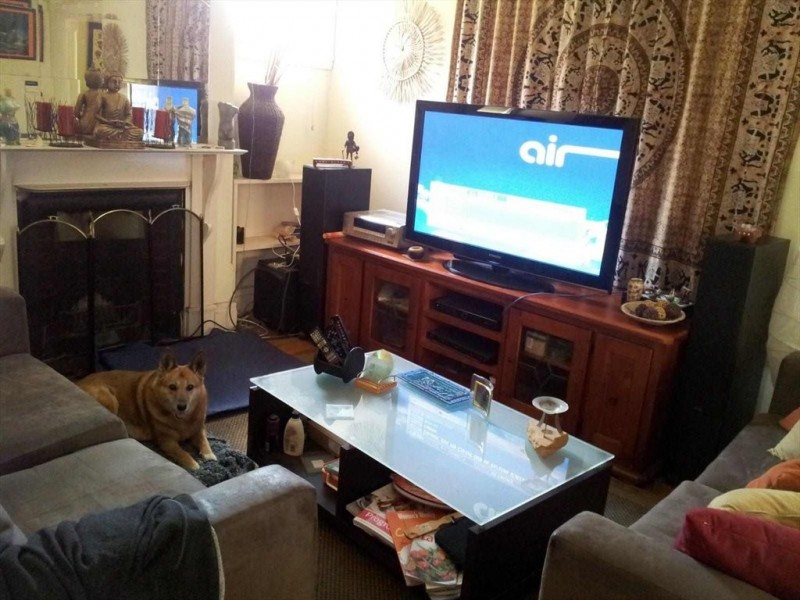 Underwood Road, Homebush NSW 2140