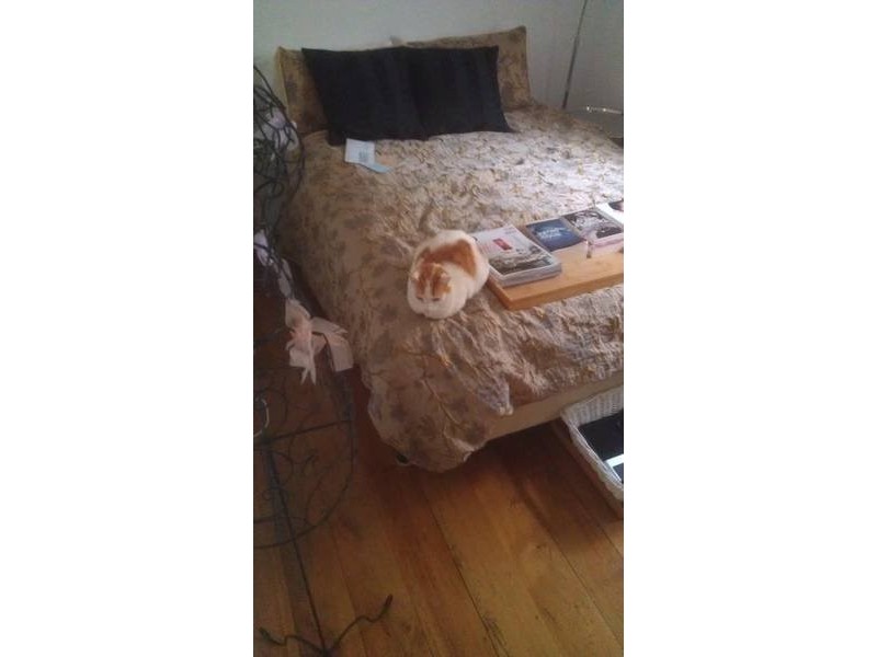 Old South Head Rd, North Bondi NSW 2026