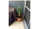 gardeners rd, Mascot NSW 2020