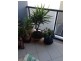 gardeners rd, Mascot NSW 2020