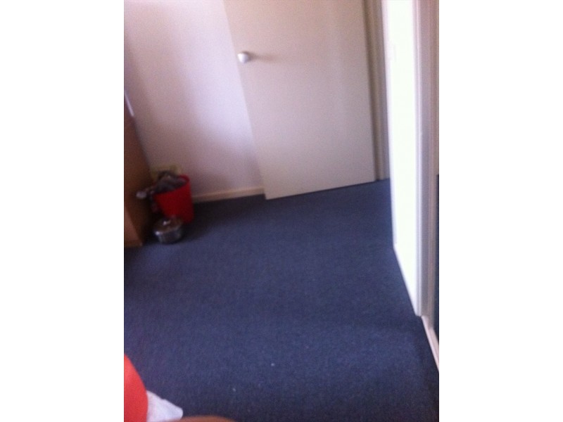 north road, Clayton VIC 3168