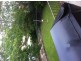 Janie St, Aspley QLD 4034