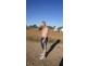 Lago, St Clair NSW 2759
