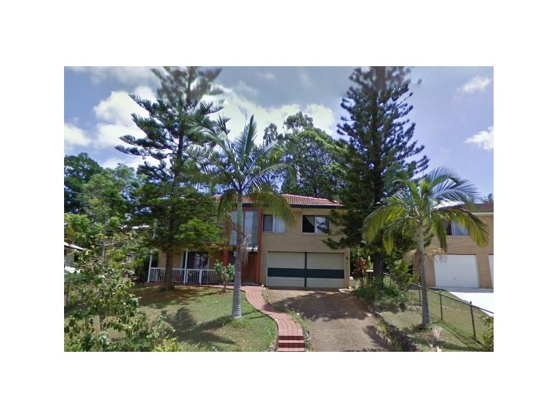 Herring, Moorooka QLD 4105