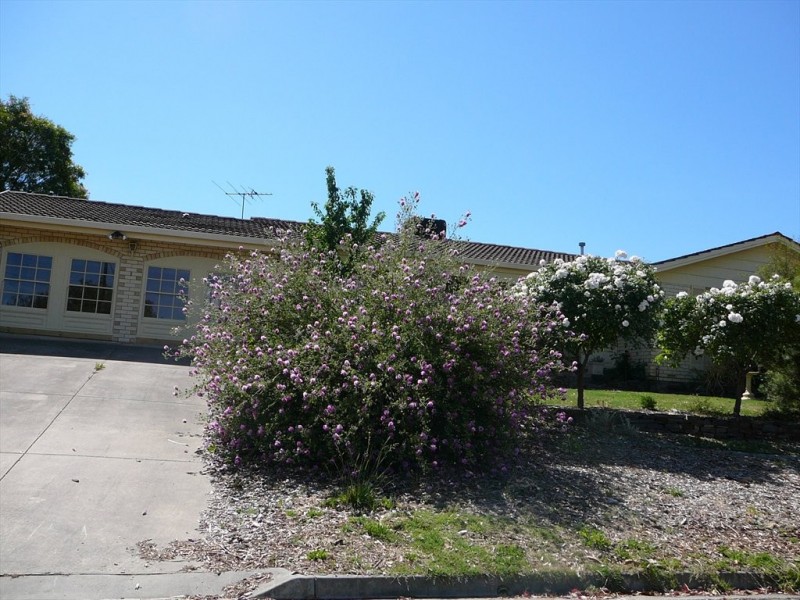 Lorina Court, Flagstaff Hill SA 5159