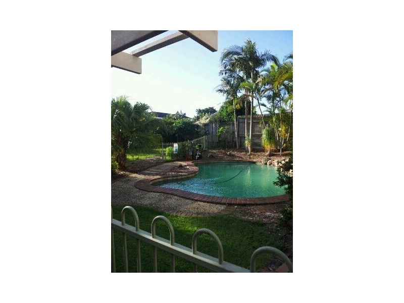 Gulubia, Calamvale QLD 4116