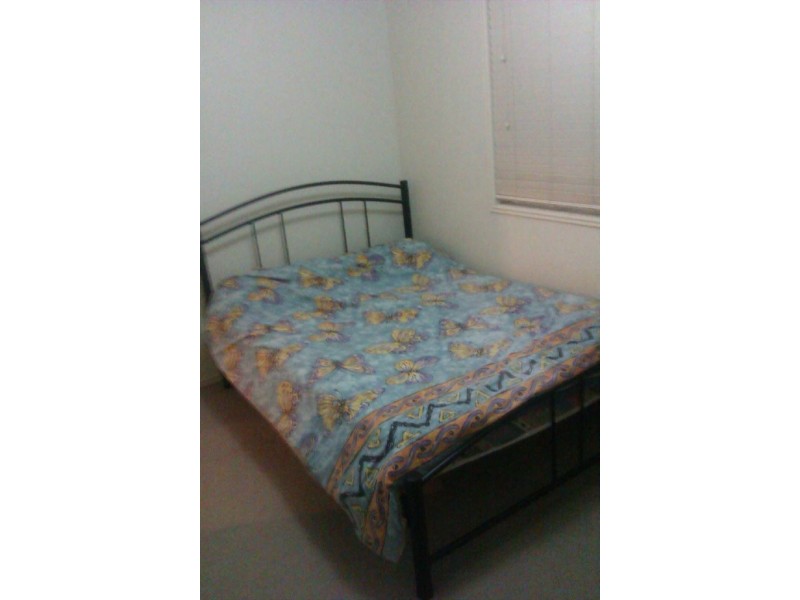 Elba Lane, Morningside QLD 4170