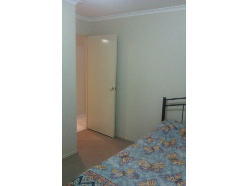 Elba Lane, Morningside QLD 4170