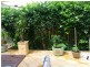 kelvin grove, Winston Hills NSW 2153