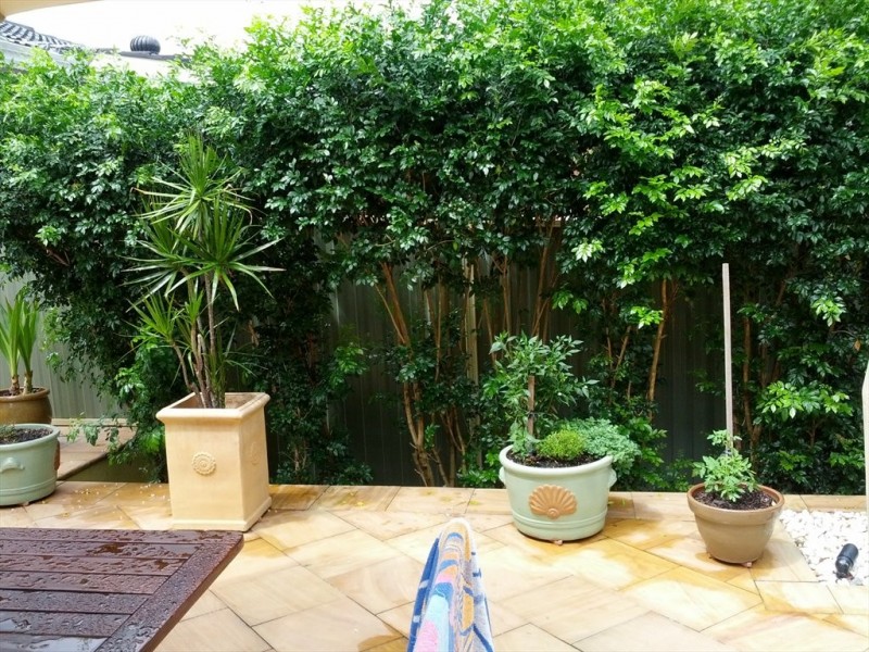 kelvin grove, Winston Hills NSW 2153