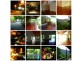 frond close, Redlynch QLD 4870