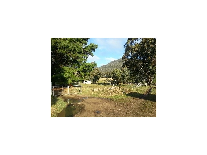 Nicholls Rd, Hobart TAS 7000