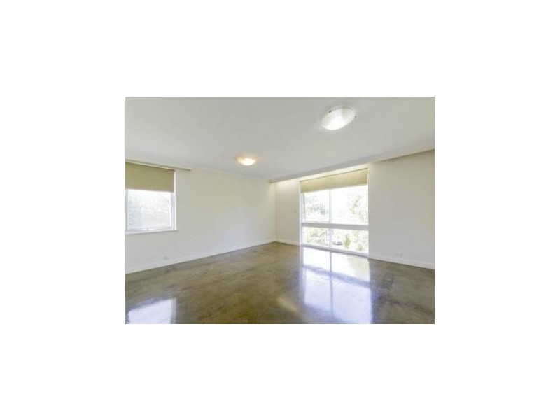 Pental road, Caulfield North VIC 3161