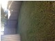 Florence St, St Peters NSW 2044