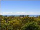 goodwin rd, Newport NSW 2106
