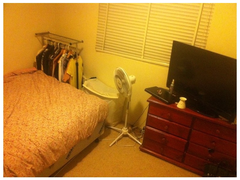 Alison Road, Randwick NSW 2031