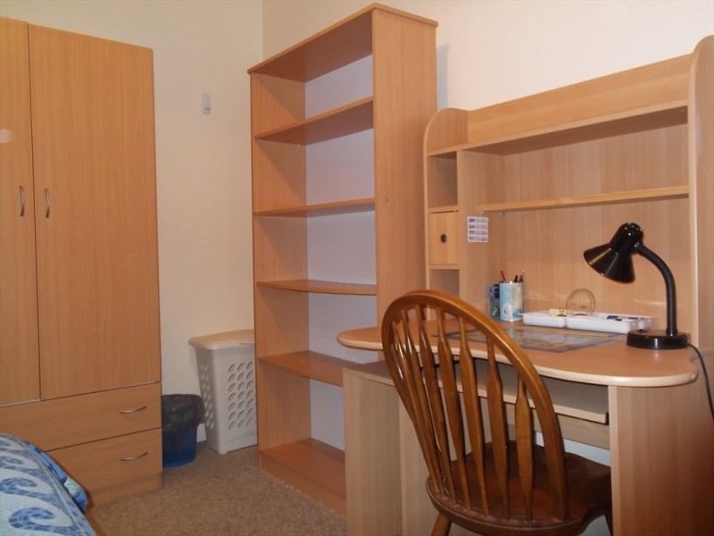 Chandos Street, Ashfield NSW 2131