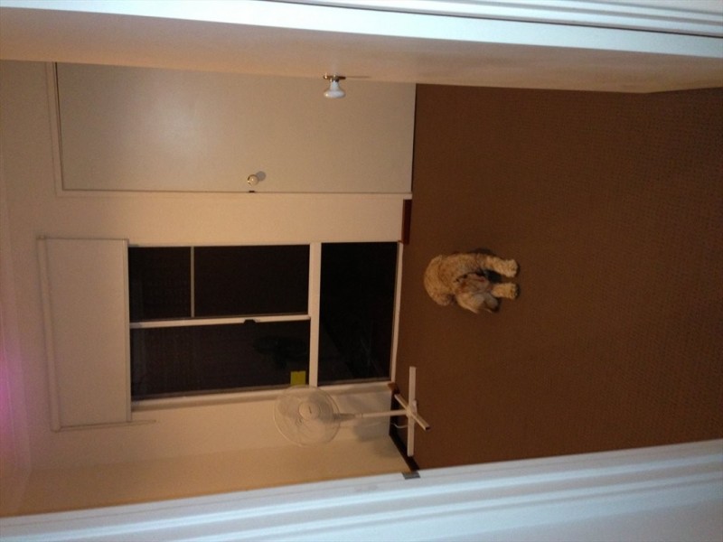 teague street, Victoria Park WA 6100