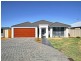 bronzewing, Huntingdale WA 6110
