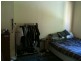 nelson, Annandale NSW 2038
